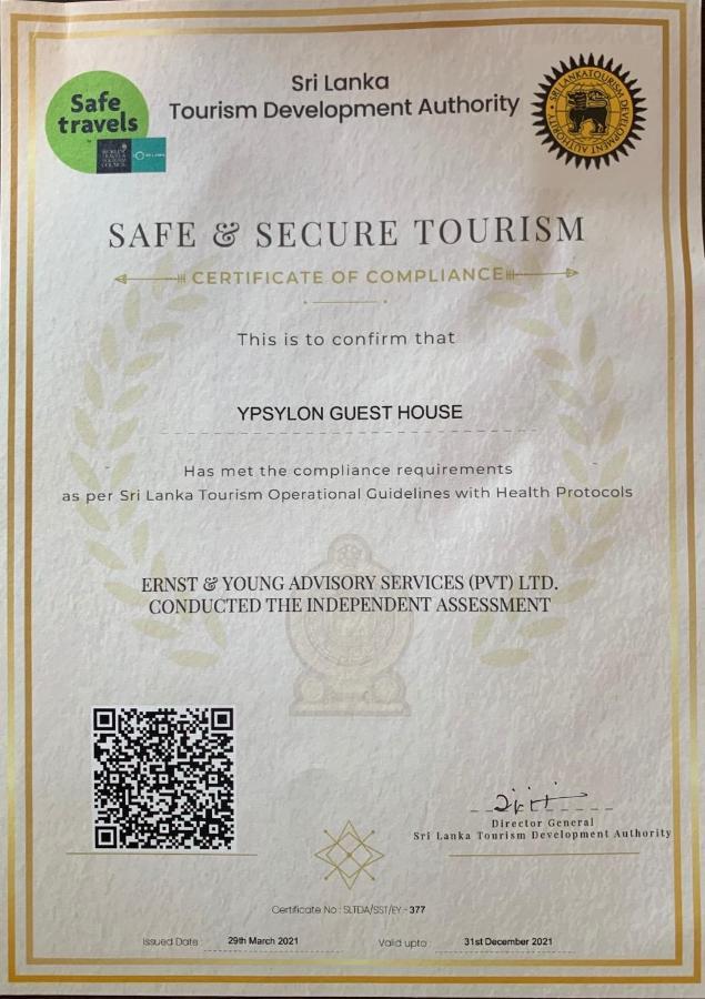 Ypsylon Tourist 2*